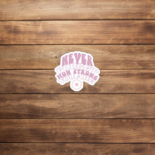 Never forget who you are  Sticker,  Vinyl sticker, laptop sticker, Tablet sticker