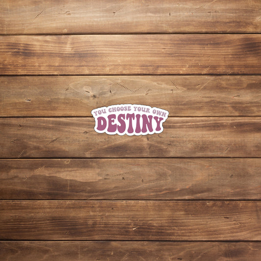 You choose your own destiny Sticker, Vinyl sticker, laptop sticker, Tablet sticker