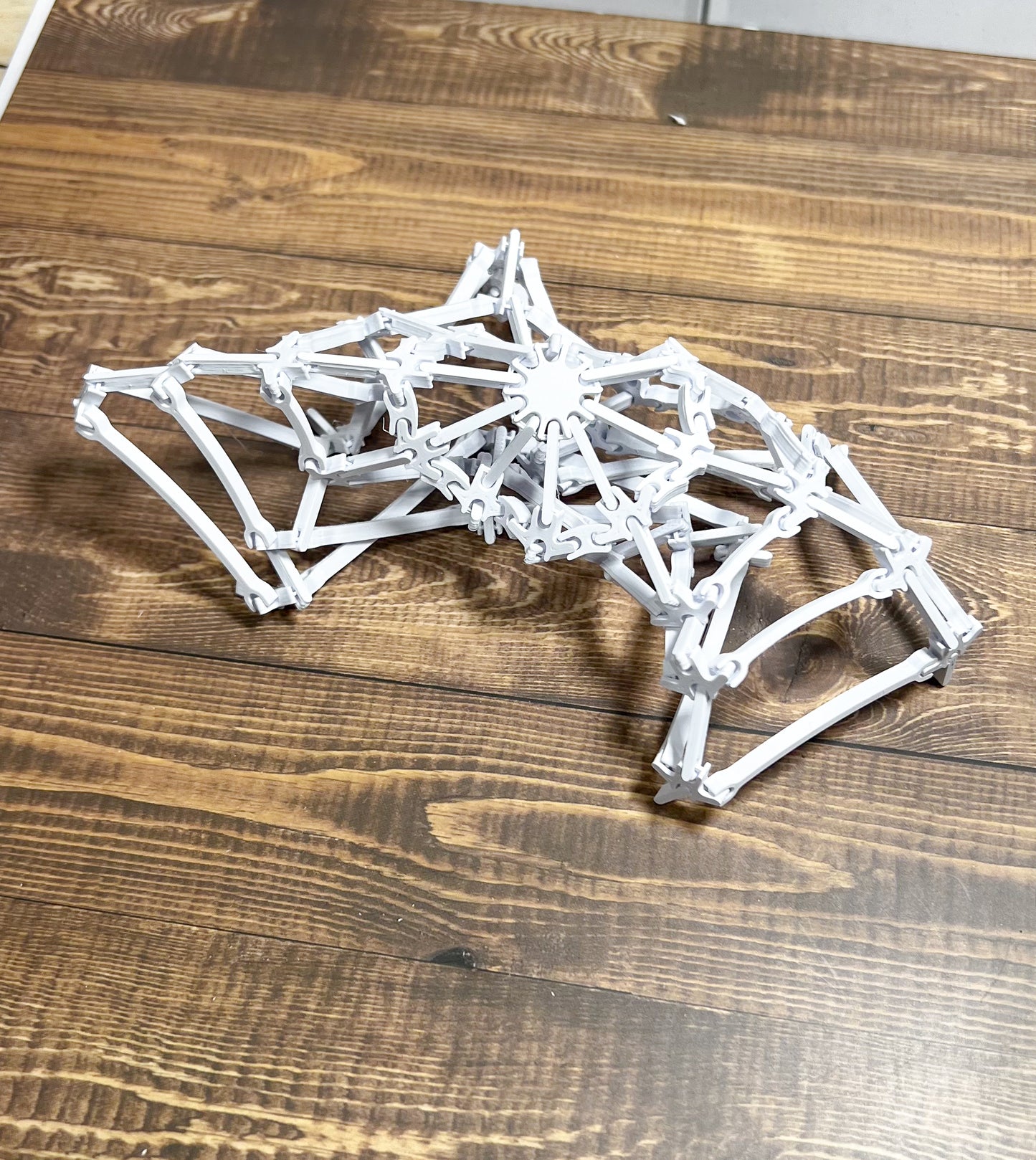 The Spider’s Web, 3D Printed, Desk Item, Custom Product, Decor, Adult Gift